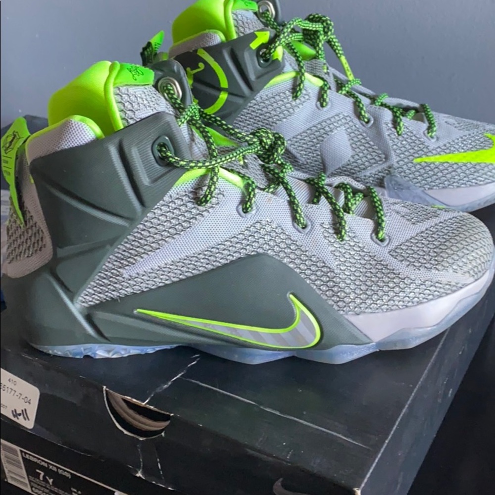 Youth Nike Lebron XII